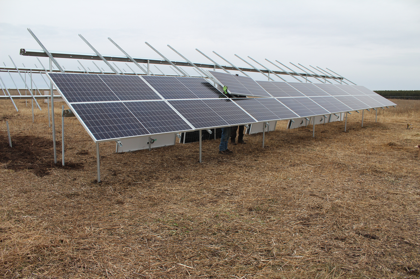 Photo caption: Workers install solar panels last fall at Blue Heron Solar near Ottertail, Minnesota. The solar farm began producing electricity in August 2020.