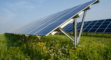 Hoot Lake Solar 2023 7