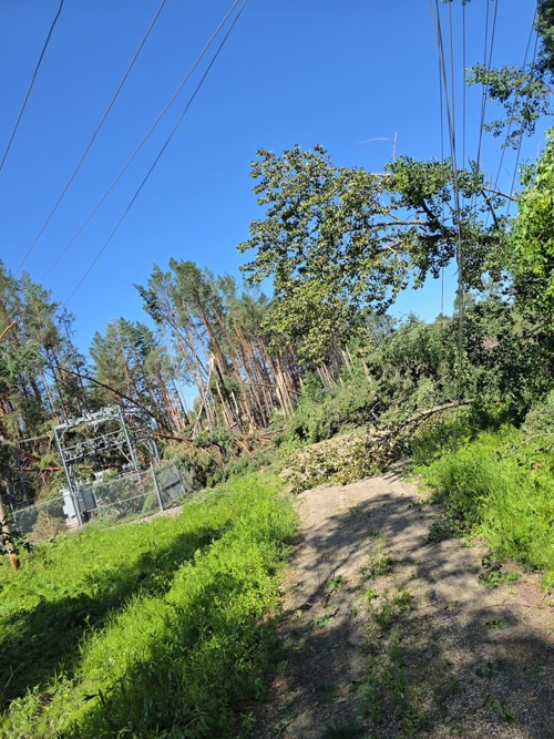 Substation damage