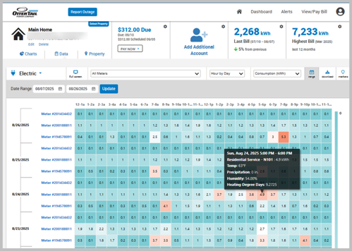 Image of data view in My Account